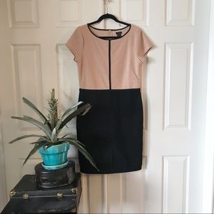 COPY - Ann Taylor Light Pink and Black Work Dress…